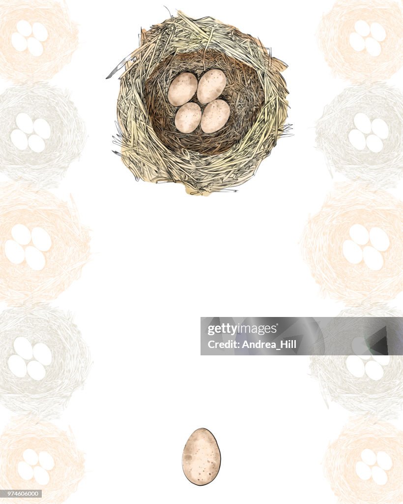 Bird Nest Vector Design Template With Copy Space High-Res Vector ...