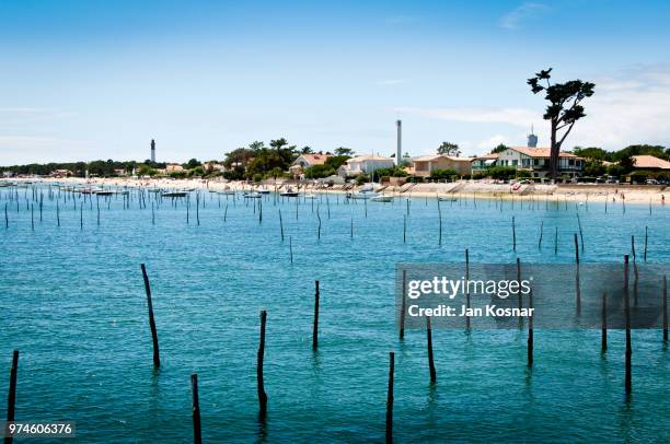beach under clear sky, lege-cap-ferret, gironde, aquitane, france - arcachon stock pictures, royalty-free photos & images