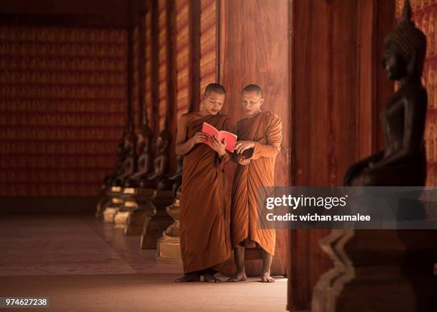 monks are reading books. - saffron robes stock pictures, royalty-free photos & images