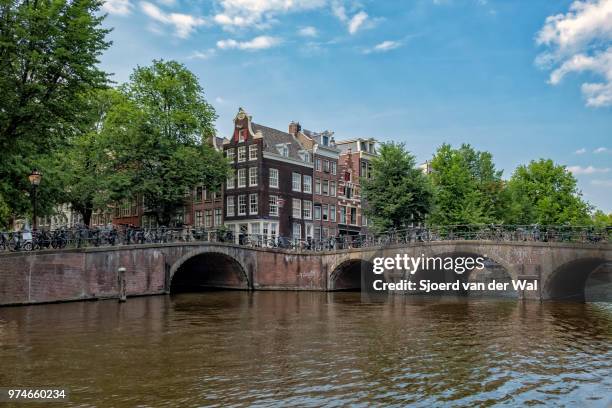 springtime view in amsterdam with the famous canals - sjoerd van der wal or sjonature bildbanksfoton och bilder