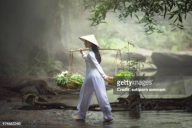 vietnamese women wearing ao dai traditional dress  walking on the creek. - ao dai stockfoto's en -beelden