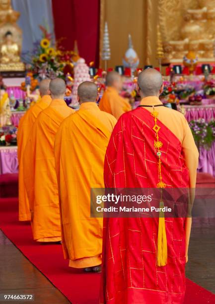 buddhist monks in saffron robes queueing for ceremonial role - theravada fotografías e imágenes de stock