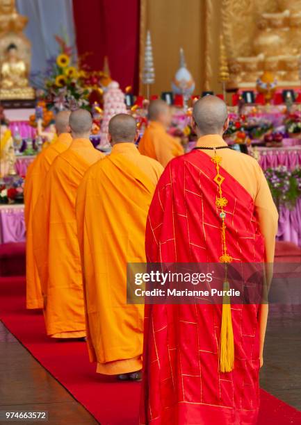 buddhist monks in saffron robes queueing for ceremonial role - saffron robes stock pictures, royalty-free photos & images