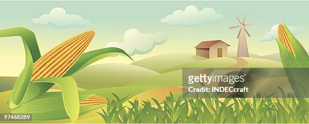 ilustrações, clipart, desenhos animados e ícones de corn_field - milho doce