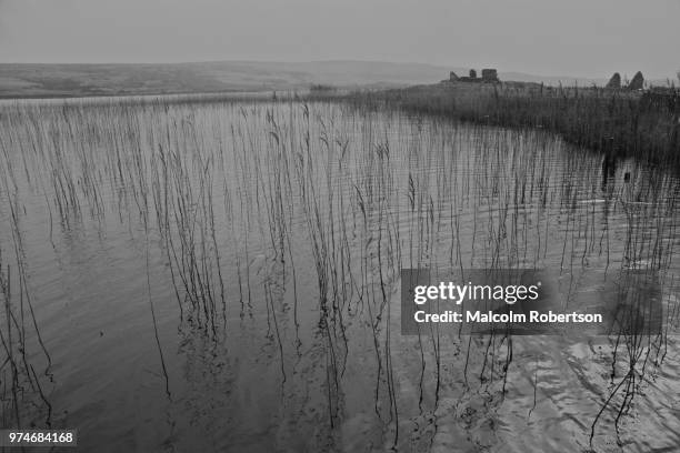 Malcolm Rivers 459 Malcolm Rivers Stock Photos, High-Res Pictures, and Images - Getty ...