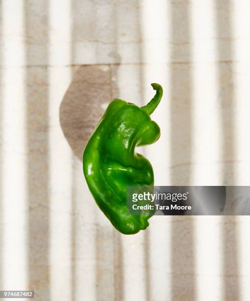 green pepper - groene paprika stockfoto's en -beelden