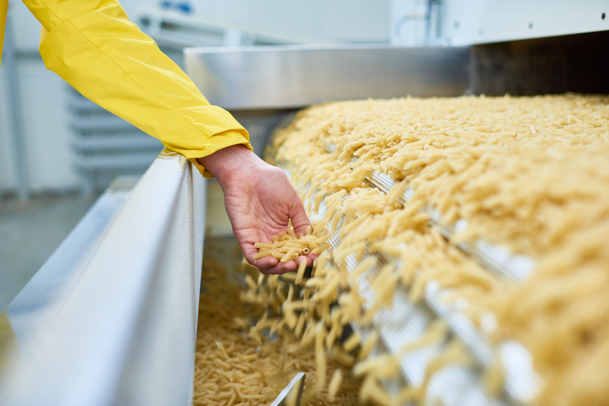pasta production