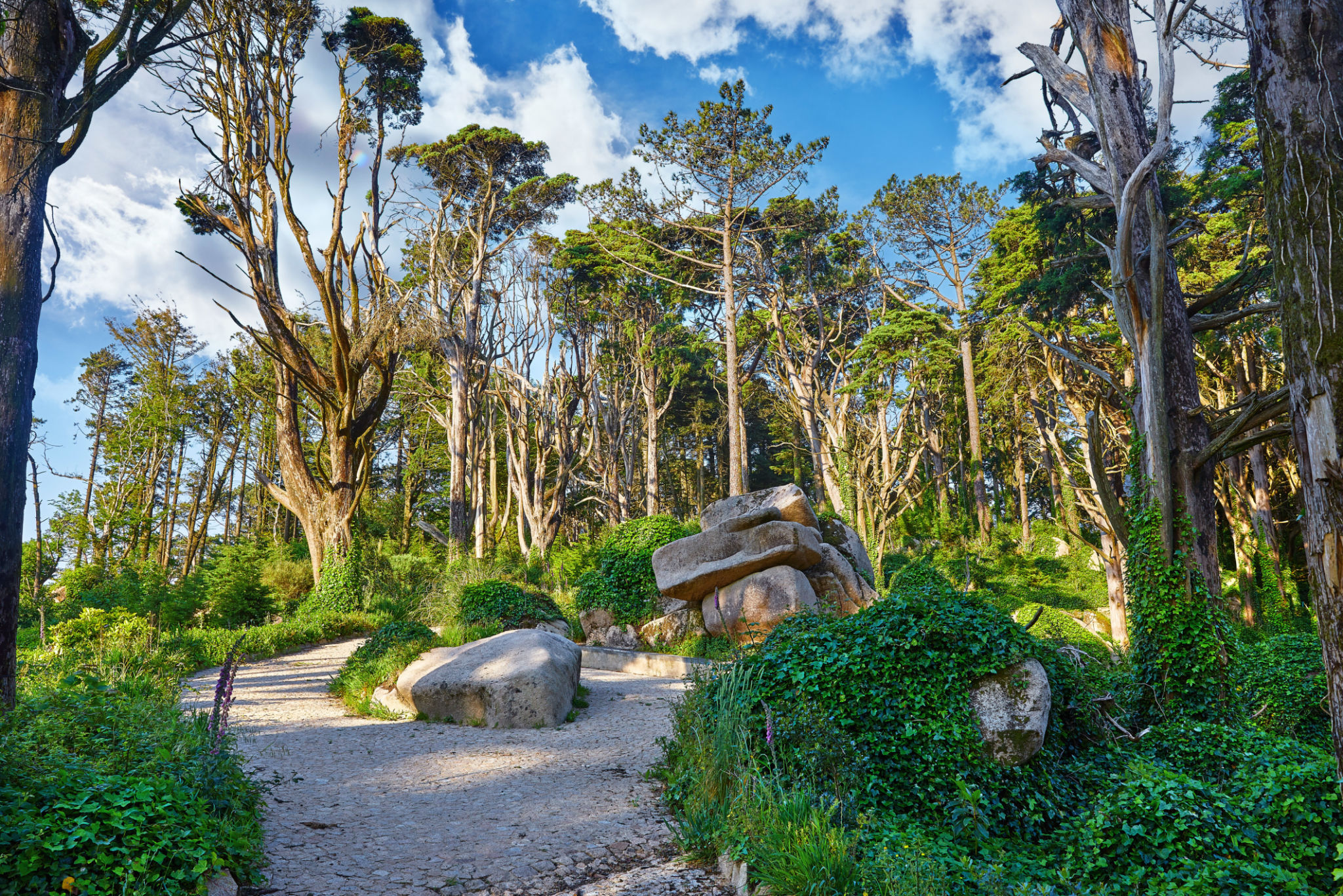 sintra hiking