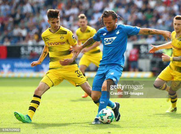 Julian Weigl of Dortmund and Eugen Polanski of Hoffenheim battle for the ball during the Bundesliga match between TSG 1899 Hoffenheim and Borussia...