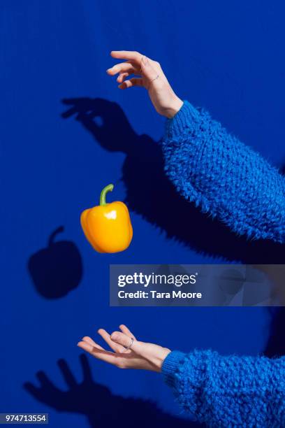 hands with yellow bell pepper - gelbe paprika stock-fotos und bilder