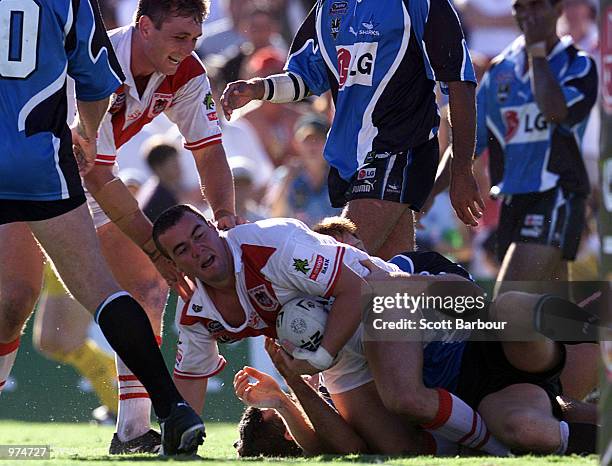 Mark Riddell of the Dragons celebrates after scoring a try during the Round 1 NRL Match between the Sharks and St George Illawarra Dragons played at...