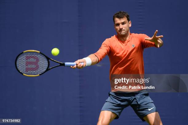 Grigor Dimitrov of Bulgaria hits a forehand in practice during preview Day 2 of the Fever-Tree Championships at Queens Club on June 14, 2018 in...