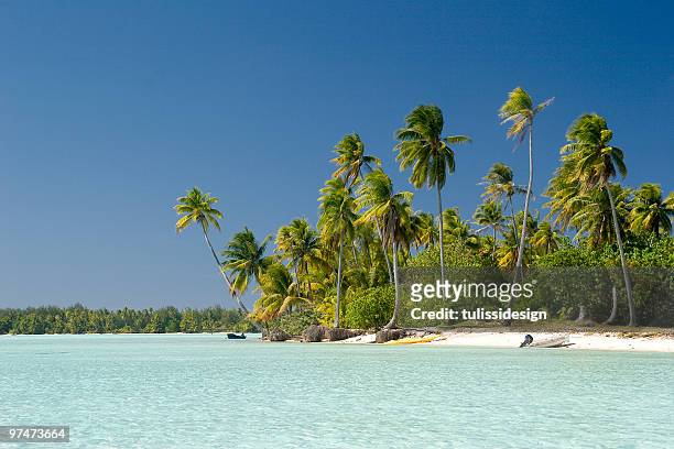 paradis tropical - polynesie photos et images de collection