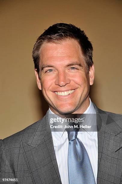 Actor Michael Weatherly attends the 47th Annual ICG Publicists Awards at the Hyatt Regency Century Plaza on March 5, 2010 in Century City, California.