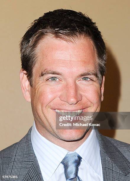 Actor Michael Weatherly attends the 47th Annual ICG Publicists Awards at Hyatt Regency Century Plaza on March 5, 2010 in Century City, California.