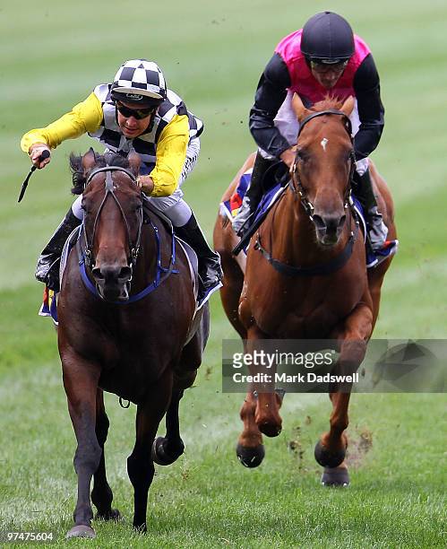 Jockey Michael Rodd riding Faint Perfume wins the Tabcorp Kewney Stakes on Super Saturday at Flemington Racecourse on March 6, 2010 in Melbourne,...