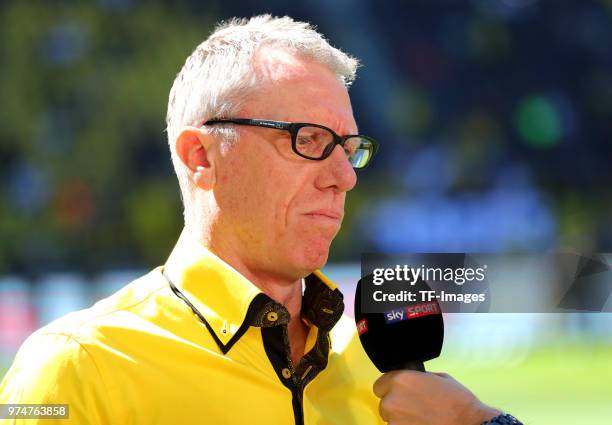 Head coach Peter Stoeger of Dortmund gives an interview prior to the Bundesliga match between Borussia Dortmund and 1. FSV Mainz 05 at Signal Iduna...