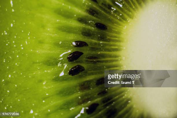 kiwi fruit - kiwi foto e immagini stock