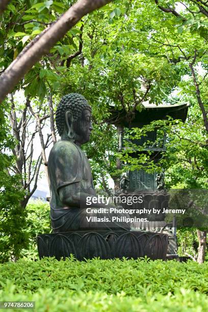 buddha, senso-ji - jeremy chan stock-fotos und bilder