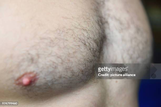 May 2018, Germany, Munich: Black chest hair seen on a man in a sports centre. Photo: Felix Hörhager/dpa