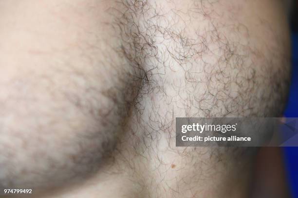 May 2018, Germany, Munich: Black chest hair seen on a man in a sports centre. Photo: Felix Hörhager/dpa