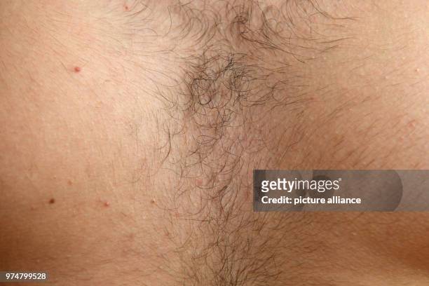 May 2018, Germany, Munich: Black chest hair seen on a man in a sports centre. Photo: Felix Hörhager/dpa