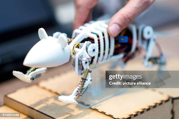 Computer Mouse Robot 1,635 Robot Mouse Stock Photos, High-Res Pictures, and Images - Getty ...