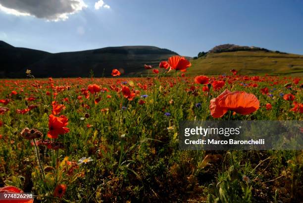 castelluccio in controluce - controluce stock pictures, royalty-free photos & images