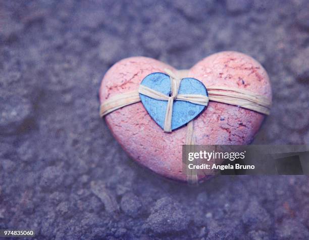Heart Behind Shell 478 Heart Shaped Shell Stock Photos, High-Res Pictures, and Images ...