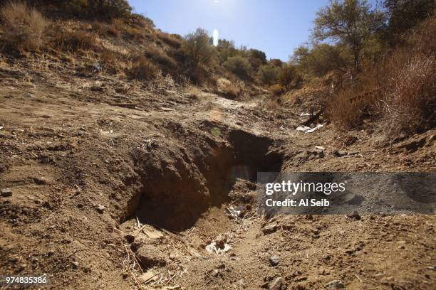 The skull of missing Fox executive Gavin Smith was found near a shallow ditch the size of a grave on a hiking trail 1/2 mile south of Mount Emma Road...