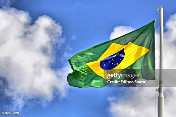 orgulho de ser brasileiro - orgulho foto e immagini stock