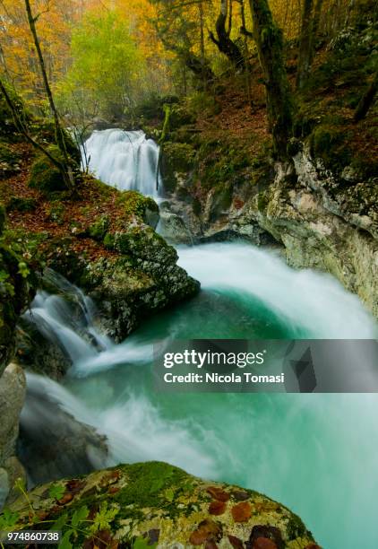 autumn in slovenia - nickola beck stock pictures, royalty-free photos & images