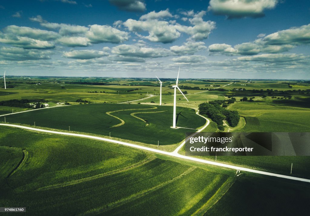 Wind turbine field