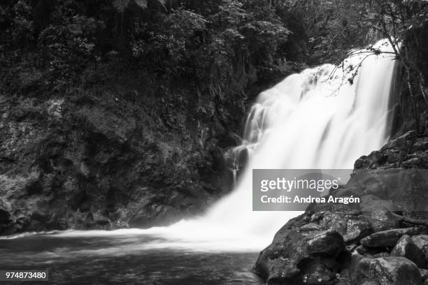 cascada de la monja - monja 個照片及圖片檔