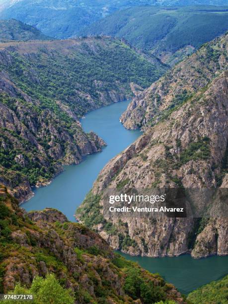Rumbo Photos and Premium High Res Pictures - Getty Images
