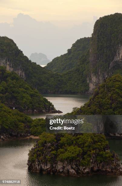 tranquil landscape with rocks covered in plants, ha long, quang ninh province, vietnam - quang ninh stock pictures, royalty-free photos & images