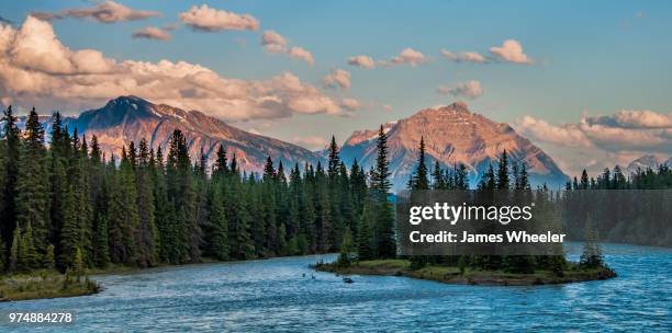 across the athabasca river - athabasca river stock pictures, royalty-free photos & images