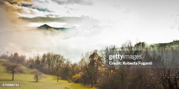 altopiano di brentonico - polsa - altopiano stockfoto's en -beelden