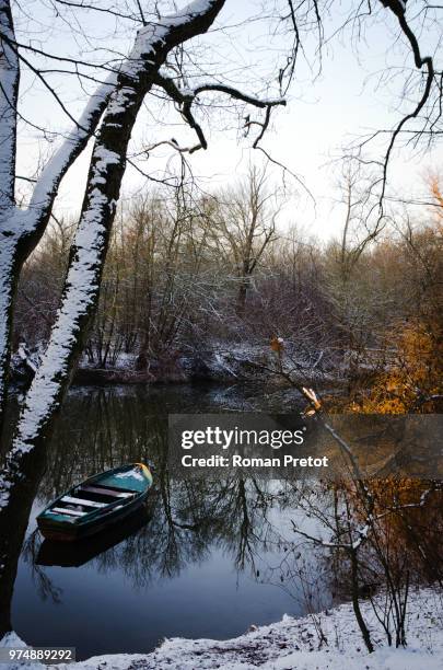 ludwigshafen am rhein,germany - roman pretot stock pictures, royalty-free photos & images