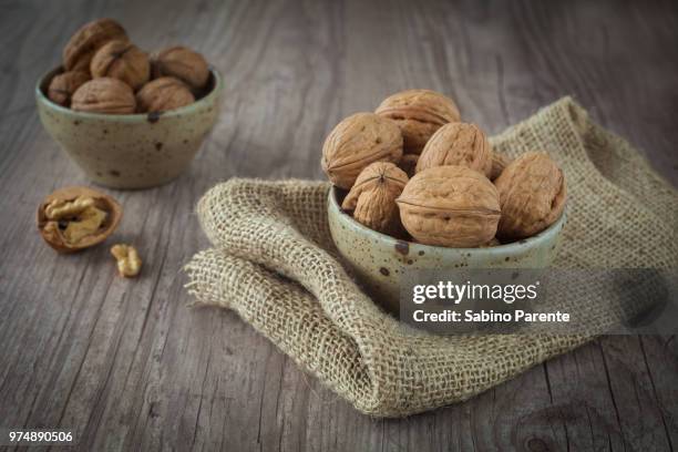 walnut - sliced canvas stock pictures, royalty-free photos & images