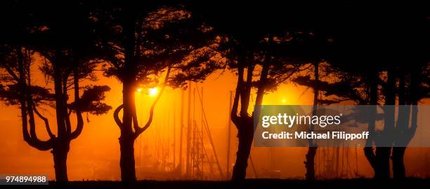 moss landing yacht harbor - moss landing stock pictures, royalty-free photos & images