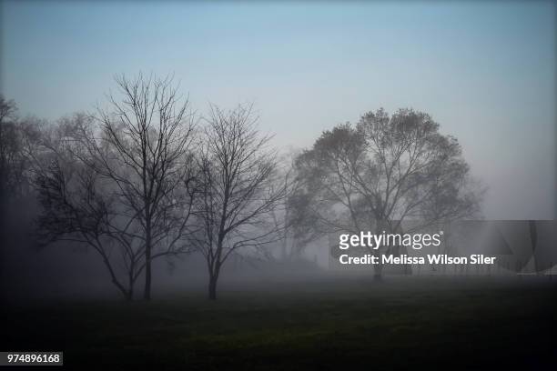 misty morning 2 - melissa dawn foto e immagini stock