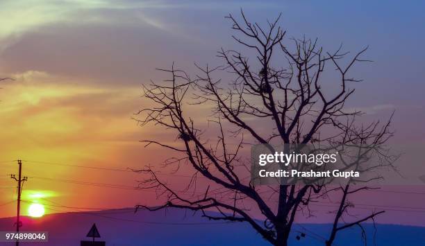Boad Photo 285 Boad Stock Photos, High-Res Pictures, and Images - Getty Images