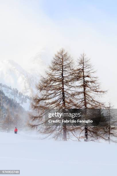 bardonecchia,italy - bardonecchia fotografías e imágenes de stock