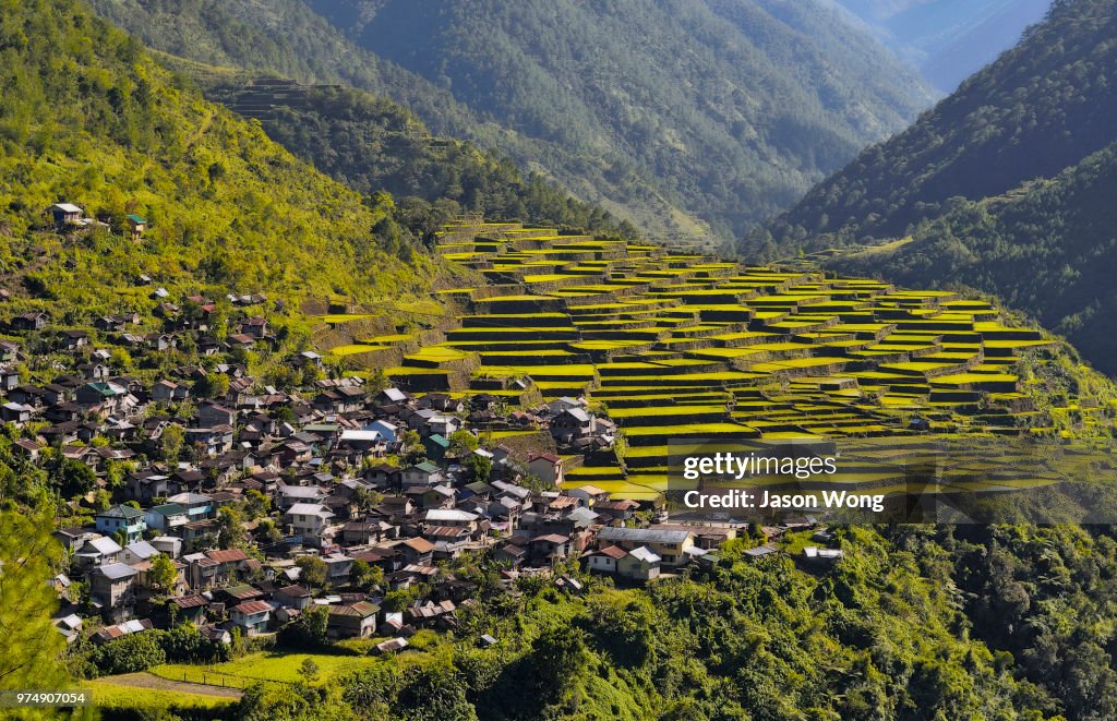 Bayyo Rice Terraces Bontoc Mountain Province Philippines High-Res Stock ...
