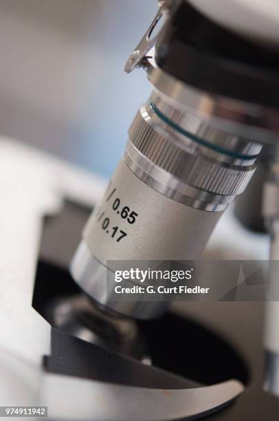 290 Objectivity Stock Photos, High-Res Pictures, and Images - Getty Images