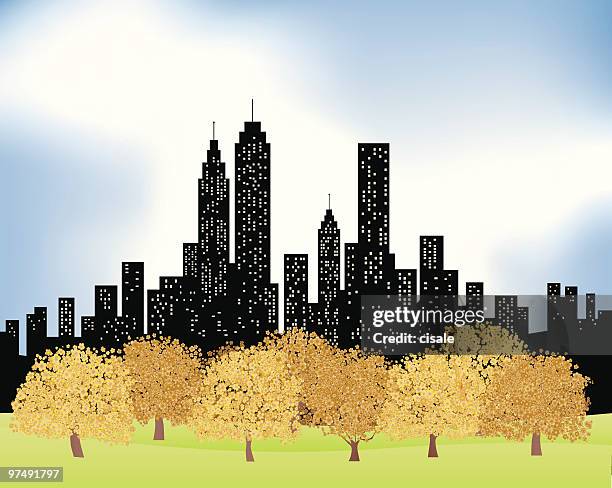 die skyline der stadt und den park mit bäumen im herbst, winter-abbildung - central park manhattan stock-grafiken, -clipart, -cartoons und -symbole