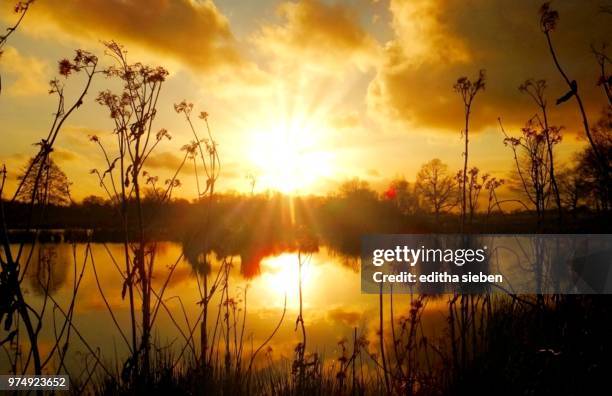 warmes sonnenlicht - sonnenlicht stock pictures, royalty-free photos & images