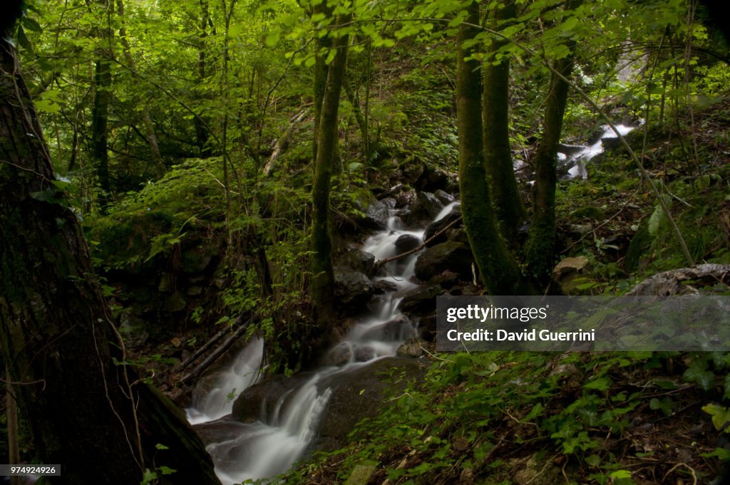 Ruscello Ruscello Di Montagna High-Res Stock Photo - Getty Images