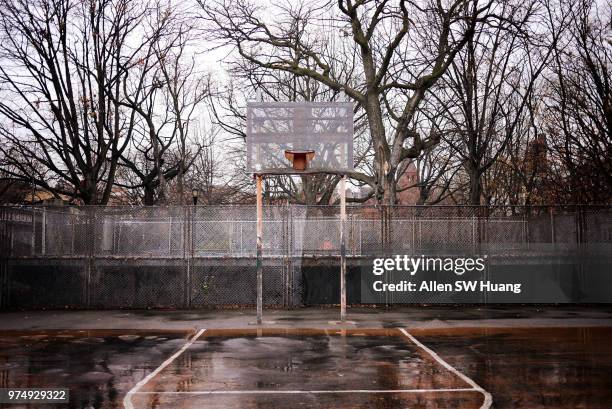 tompkins square - allen sw huang stock pictures, royalty-free photos & images